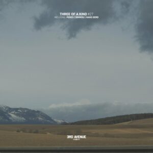 VA - Three of a Kind #027 [3AV447]