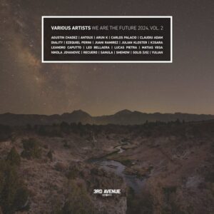 VA - We Are the Future 2024, Vol. 2 [3AVLP079]