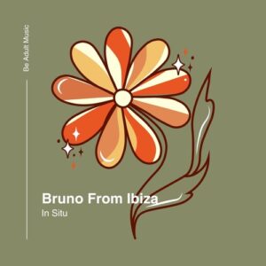 Bruno From Ibiza - In Situ [378]