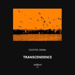 Celestial Signal - Transcendence [BF385]