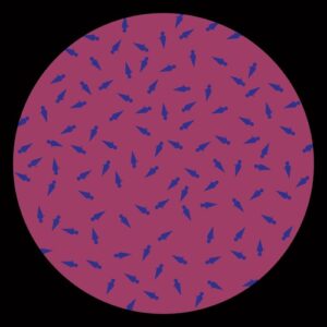 Cicuendez - #9999 [DEZ13]