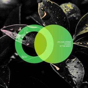 Krismi & AYU (UA) - Echoes of the Night [AVE240]