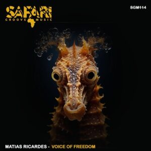 Matias Ricardes - Voice of freedom [SGM114]