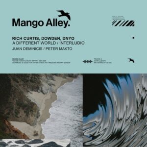 Rich Curtis, Dowden & DNYO - A Different World / Interludio [ALLEY278]