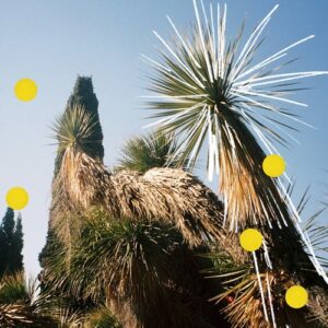 Sebastien Leger, Orbit & Parra for Cuva - Pinie (Sébastien Léger Remix) [PFCRemix0124]