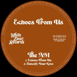 The AM - Echoes From Us EP [WDR049]