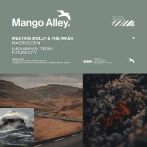 The Wash & Meeting Molly - Macrocosm [ALLEY279]