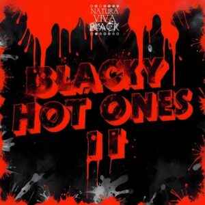 VA - Blacky Hot Ones 2 [NATBLACKCOMPI028]