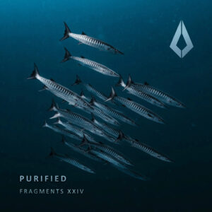 VA - Purified Fragments XXIV [PF0177BP]