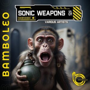 VA - Sonic Weapons, Vol. 1 [BAM036]