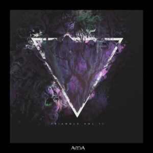 VA - Triangle, Vol. 11 [ALULA249]