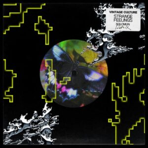 Vintage Culture - Strange Feelings (Solomun Remix / Extended) [00044003425347]