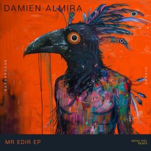 Damien Almira - Mr Edir [GRR010]
