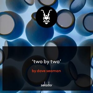Dave Seaman - Two By Two [SEL186]