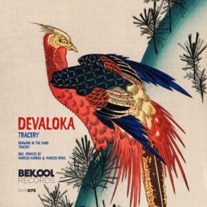 Devaloka - Tracery [BKR075]