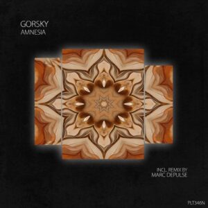 Gorsky, Autboy, Invariant, Nikilot - Amnesia [PLT346N]