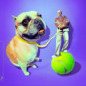 Luttrell - French Bulldog [ANJDEE859BD]