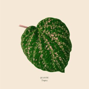 Quantic - Tropics [AUS200ADL]