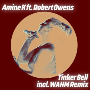 Robert Owens & Amine K (Moroko Loko) - Tinker Bell [GPM789]