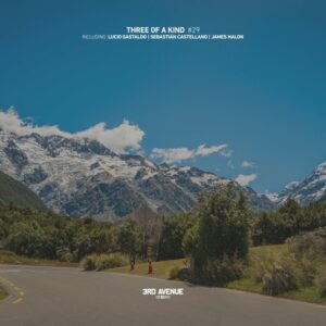 VA - Three of a Kind #029 [3AV460]