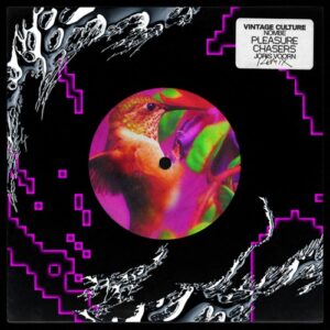 Vintage Culture & NoMBe - Pleasure Chasers (Joris Voorn Remix / Extended) [00044003426979]