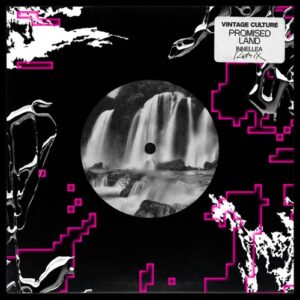 Vintage Culture & Paige Cavell - Promised Land (Innellea Remix / Extended) [00044003431164]