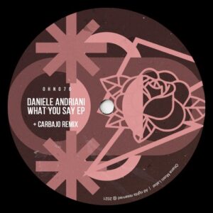 Daniele Andriani - What You Say EP [OHN070]