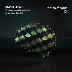 David Lowe, Llinares, Javi Miramontes - Now You Do [MINDSHAKE131]