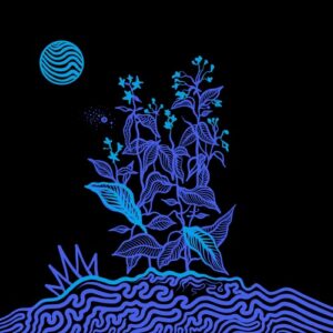 Dotwork - Light It [NF267]