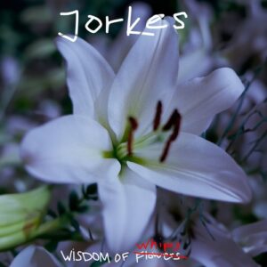 Jorkes - Wisdom of Whips [PERMVAC343-1]