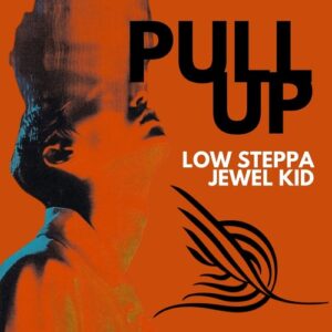 Low Steppa, Jewel Kid - Pull Up [ALN001]