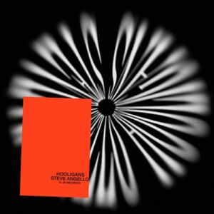 Steve Angello - Hooligans (Extended Version) [DOGD102S]