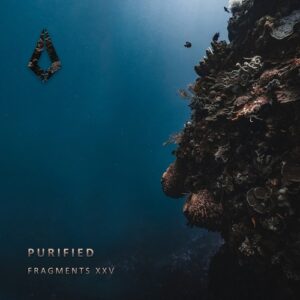 VA - Purified Fragments XXV [PF0181BP]