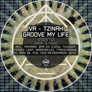 VA - Tzinah Groove My Life Session Two [TZH215]