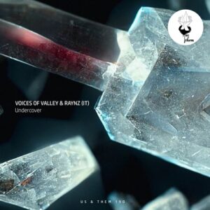 Voices of valley & Raynz (IT) - Undercover [UT190]