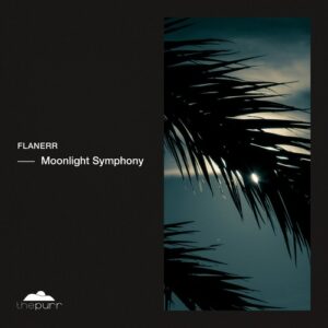 flanerr - Moonlight Symphony [PURR448]