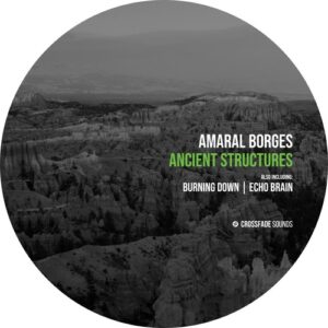 Amaral Borges - Ancient Structures [CS181X]