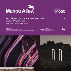 Bachir Salloum & NOIYSE PROJECT - Vivid Imagination [ALLEY290]