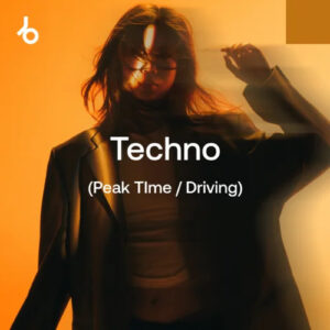 Beatport The Techno (P/D) Shortlist: November 2024