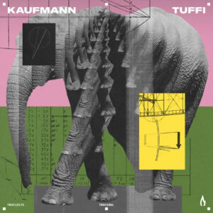 Kaufmann (De) Tuffi Chart