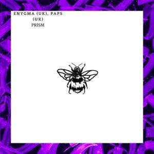 Paps (UK), Enygma (UK) - Prism [NSD090]