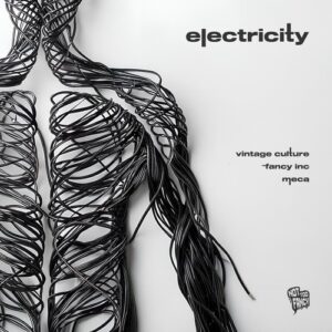 Vintage Culture, Fancy Inc & Meca - Electricity [185202140508]