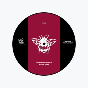 Walto - Abajo EP [NSS233]