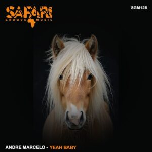 André Marcelo - Yeah Baby [SGM126]