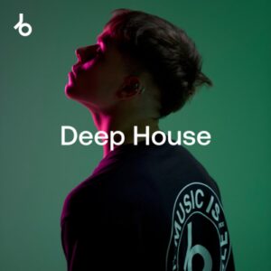 Beatport Best New Deep House: November 2024