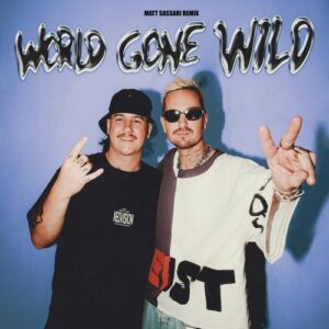 Robin Schulz, Cyril - World Gone Wild (feat. Sam Martin) (Matt Sassari Extended Remix) [5021732589491]
