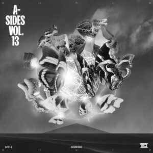 VA - A-Sides, Vol. 13 [DC318]