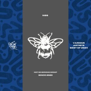 VA - BEST OF 2024 [NSS236]