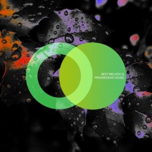VA - Best Melodic & Progressive House 2024 [AVE255]