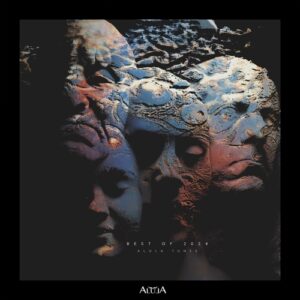 VA - Best of 2024 [ALULA270]